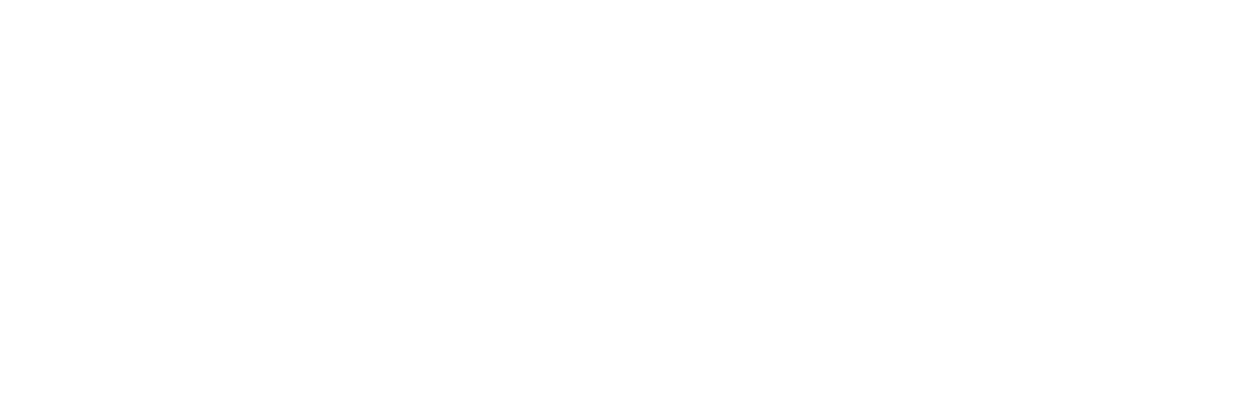 Accufast accounting